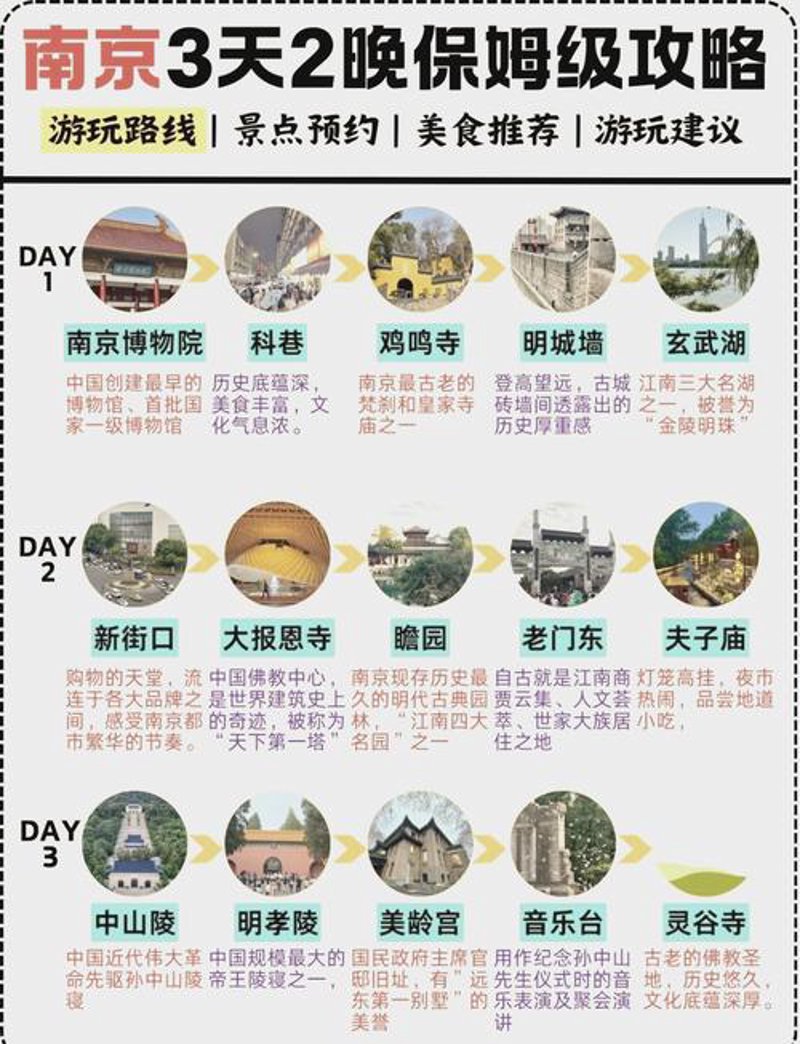 团体出游：共度美好时光的新风尚